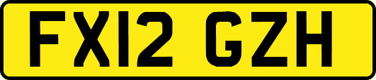 FX12GZH