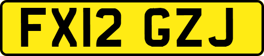 FX12GZJ
