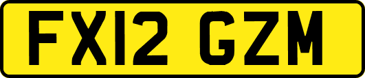 FX12GZM