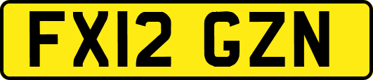 FX12GZN