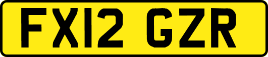 FX12GZR