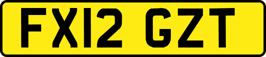 FX12GZT