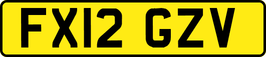 FX12GZV