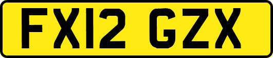 FX12GZX