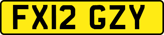 FX12GZY