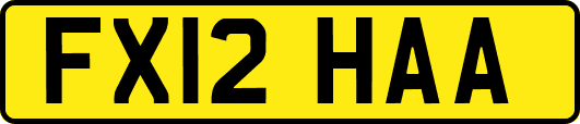 FX12HAA