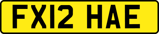 FX12HAE