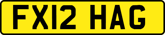 FX12HAG