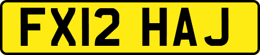 FX12HAJ