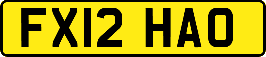 FX12HAO