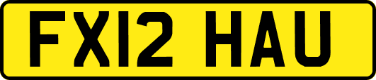 FX12HAU