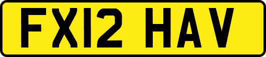 FX12HAV