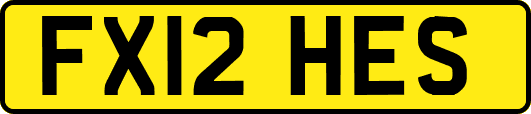 FX12HES