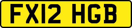 FX12HGB