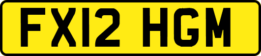 FX12HGM