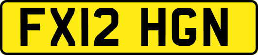 FX12HGN