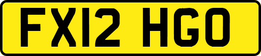 FX12HGO