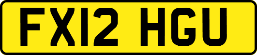 FX12HGU