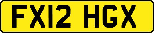 FX12HGX