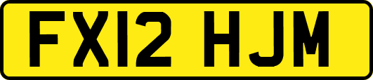 FX12HJM