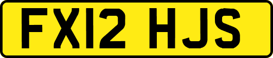 FX12HJS