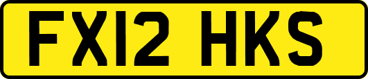 FX12HKS