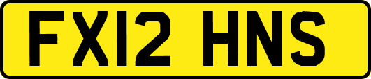 FX12HNS