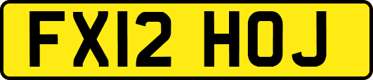 FX12HOJ