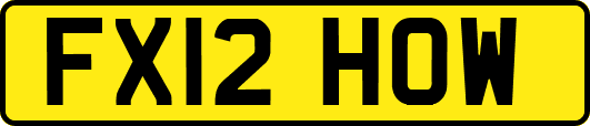 FX12HOW