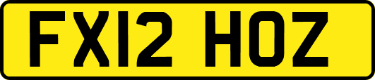 FX12HOZ