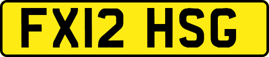 FX12HSG