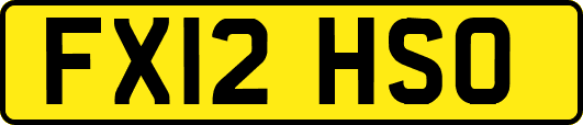 FX12HSO