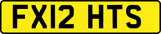 FX12HTS