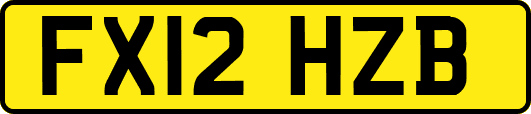 FX12HZB