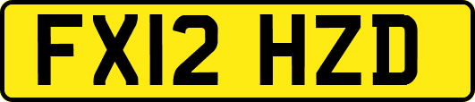 FX12HZD