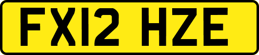 FX12HZE