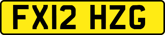 FX12HZG