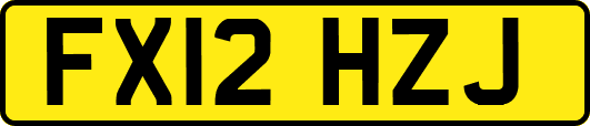 FX12HZJ