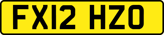 FX12HZO
