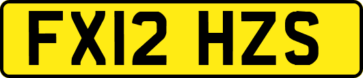 FX12HZS