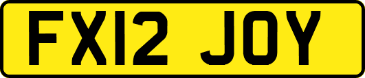 FX12JOY