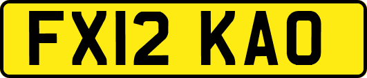 FX12KAO