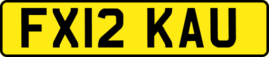 FX12KAU