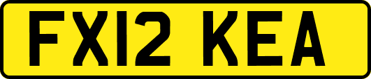FX12KEA