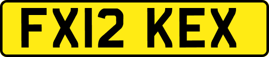 FX12KEX