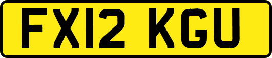 FX12KGU