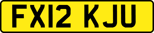 FX12KJU