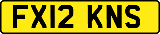 FX12KNS