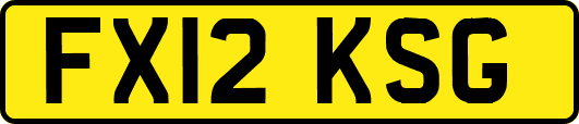 FX12KSG