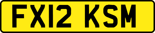 FX12KSM